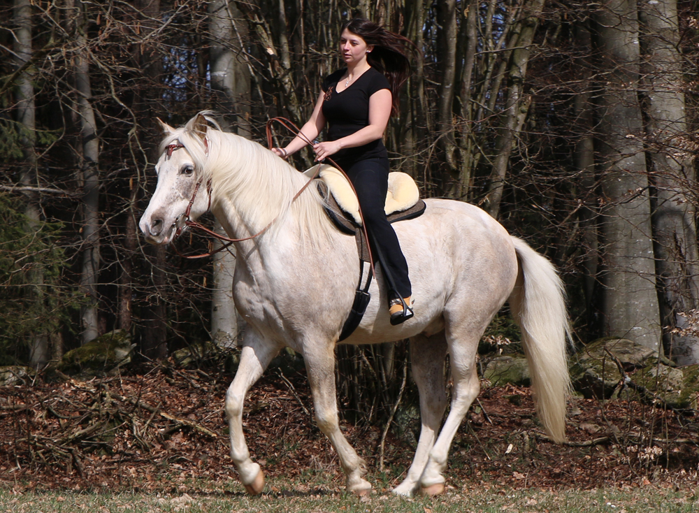 Grandeur Fellsattel  "Tomentum Endurance"
