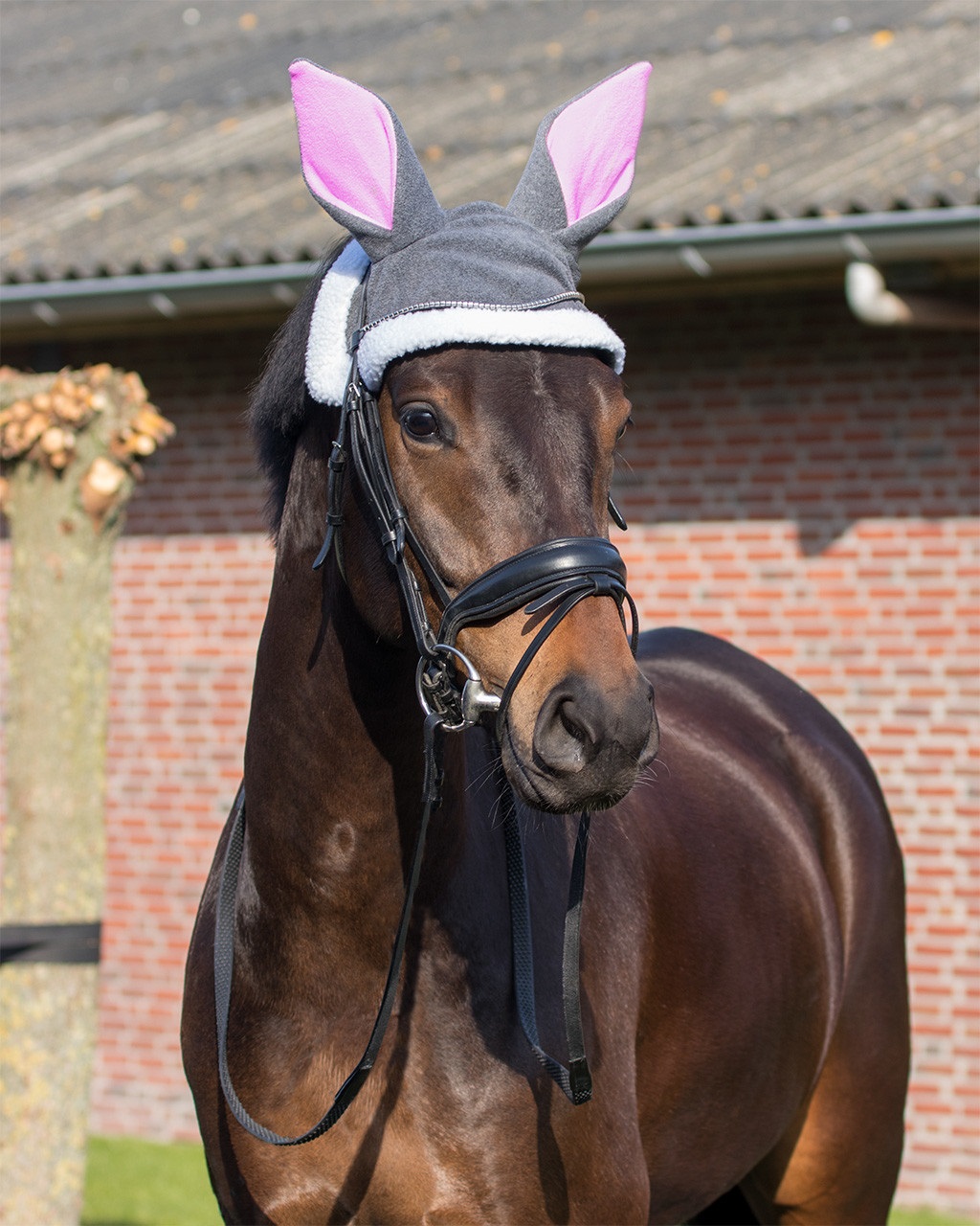 Ohrenhaube Osterhase