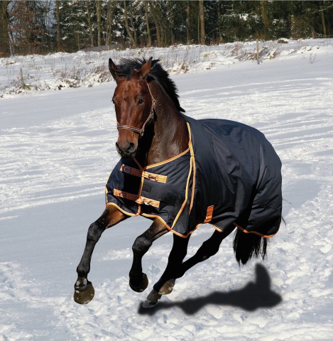Brauchen Pferde im Winter eine Decke?