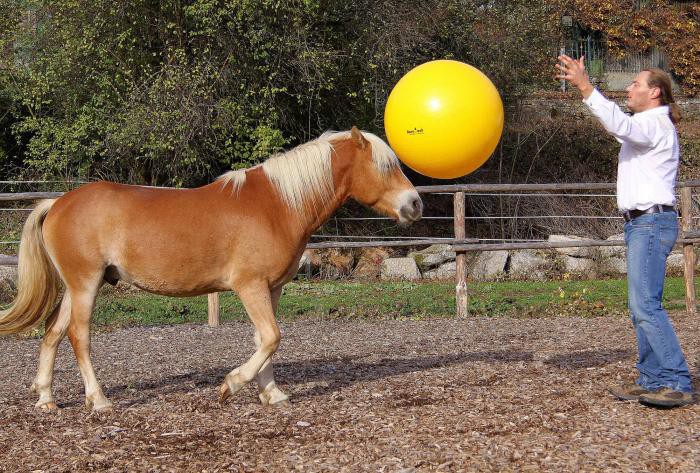Ball, 75cm