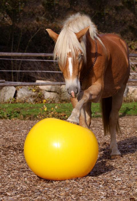 Ball, 75cm