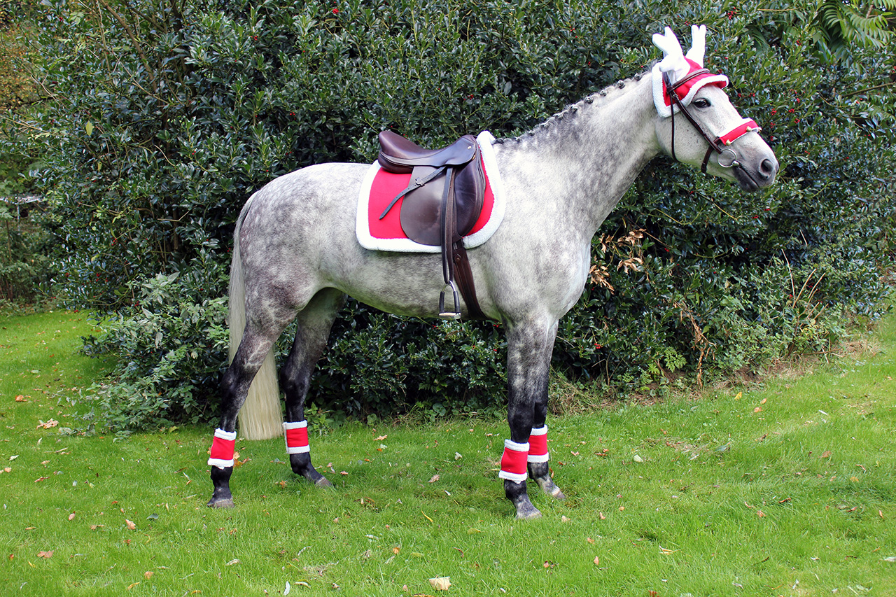 6116ro59fd9ea689cfa Bandagen Weihnachten