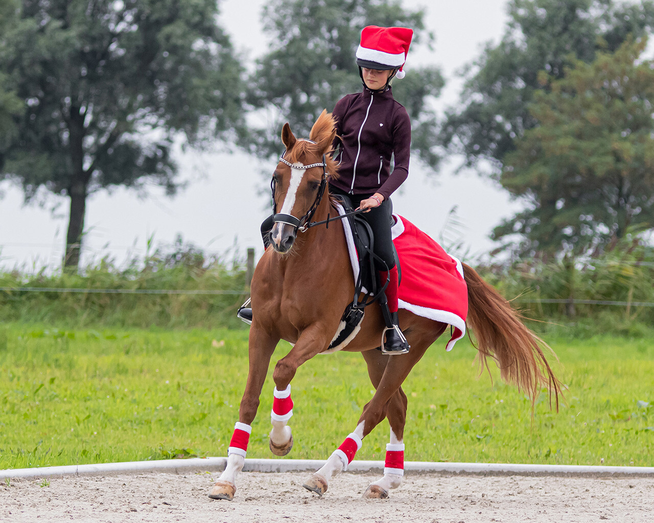 Bandagen Weihnachten