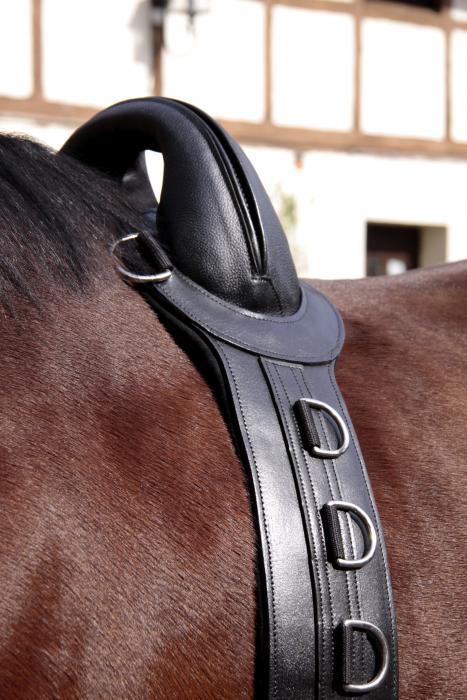 Longiergurt SAVE-MY-SPINE - Leder