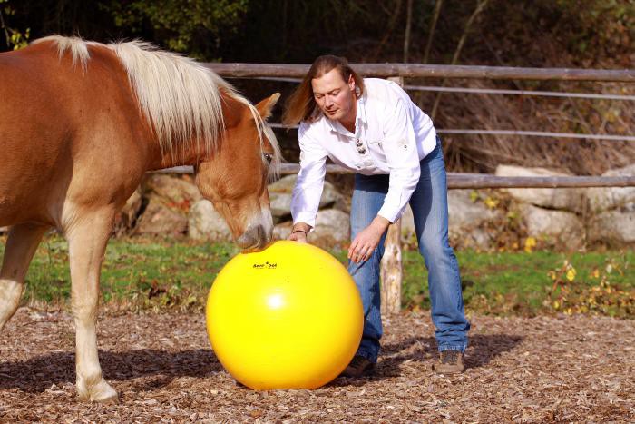 Ball, 75cm