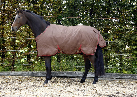 Winterdecke Pferd "Rugbe Iceprotect"