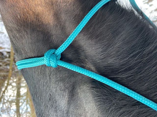 Knotenhalfter ( Horse-Man-Halfter von Seilerei Brockamp ) Knotenhalfter ( Horse-Man-Halfter von Seilerei Brockamp )