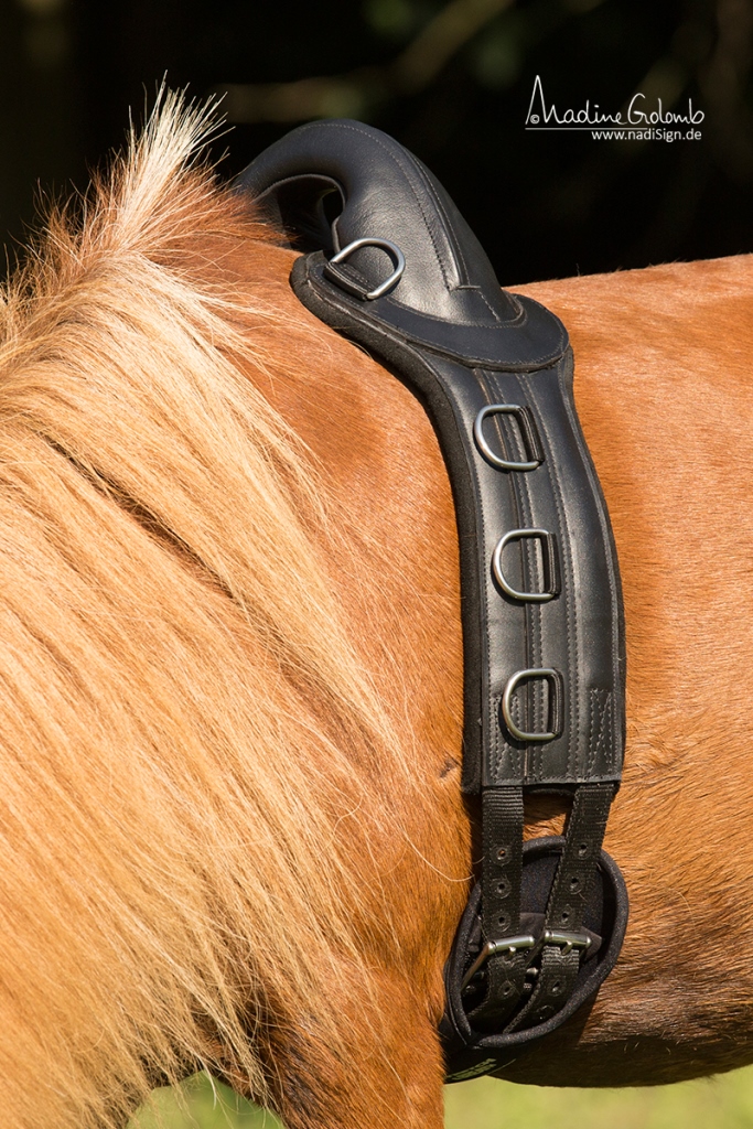 Longiergurt "Save-My-Spine" Pony