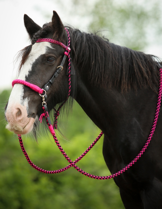 Amber Kopfstück 2-in-1