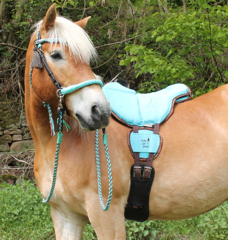 Amber Kopfstück 2-in-1