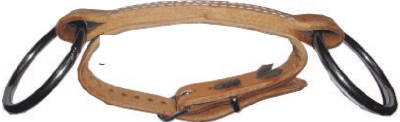 Tabal Ledergebiss mit Kinnriemen