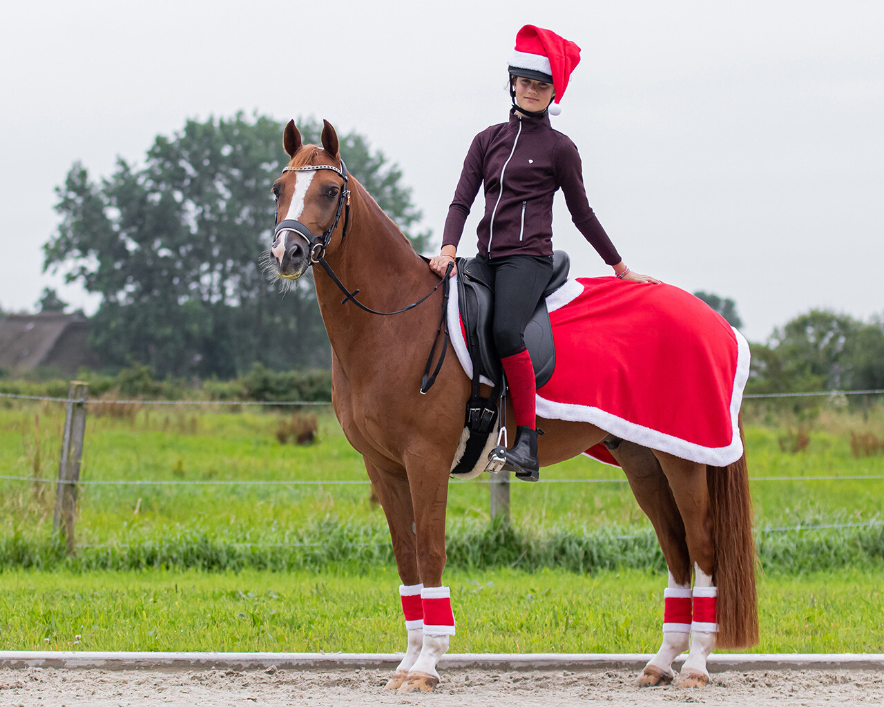 Helmüberzug Weihnachten