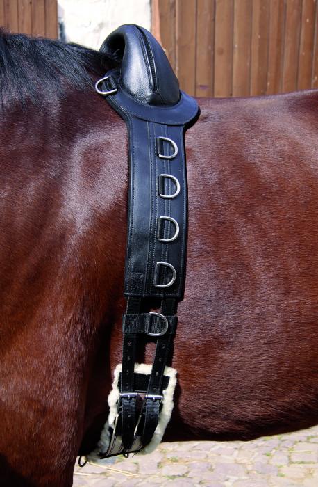 surcingle-save-my-spine_z357a214c1d8b5c Longiergurt SAVE-MY-SPINE - Leder