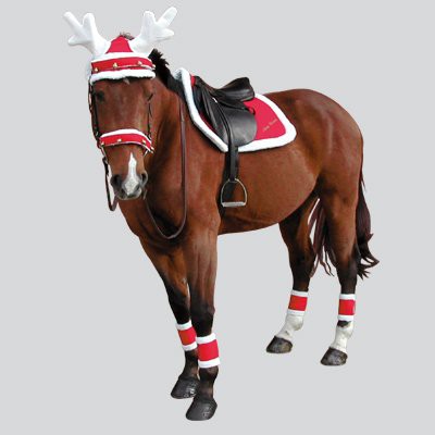Bandagen-Pferd-Weihnachten Bandagen Weihnachten